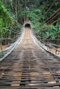 Bamboo tunnel bridge Royalty Free Stock Photo