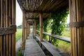 Bamboo tunnel and bridge walk way to the rice field Royalty Free Stock Photo
