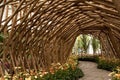 Bamboo tunnel with flower Royalty Free Stock Photo