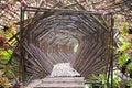 Bamboo Tunnel in the garden.