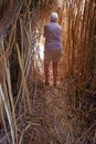 Bamboo Tunnel