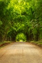 Bamboo tunnel scenery background Royalty Free Stock Photo