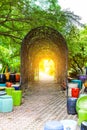 Bamboo tunnel structure in the park Royalty Free Stock Photo