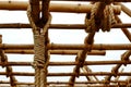 Bamboo, used to construct buildings. Royalty Free Stock Photo