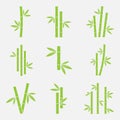 Bamboo vector icon