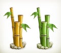 Bamboo vector icons