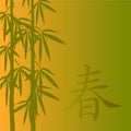 Bamboo vector illustration