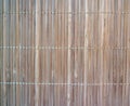 Bamboo vertical texture Royalty Free Stock Photo