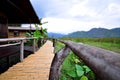 Bamboo walk way Royalty Free Stock Photo