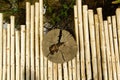 Bamboo walkway background