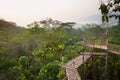 Bamboo walkway in the jungle