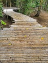 Bamboo walkway on tropical forest Royalty Free Stock Photo