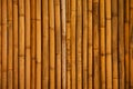 Bamboo wall