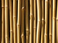 Bamboo wall