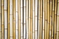 Bamboo Wall Royalty Free Stock Photo