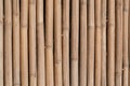 Bamboo wall