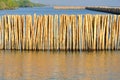 Bamboo wall Royalty Free Stock Photo