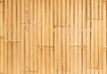 Bamboo wall background