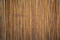 Bamboo wall or Bamboo fence texture