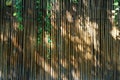 Bamboo wall, Dry bamboo fence as a background. Royalty Free Stock Photo