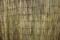 Bamboo wall Royalty Free Stock Photo