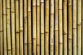 Bamboo wall texture background., close up. Royalty Free Stock Photo