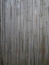 Bamboo Wall Royalty Free Stock Photo