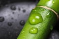 Bamboo with water drops