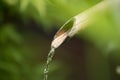 Bamboo water fountain closeup in nature background Royalty Free Stock Photo