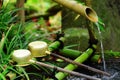 Bamboo water fountain with ladle in Japanese temple Royalty Free Stock Photo