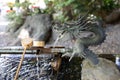 bamboo water ladle dipper on the pond and dragon fountain. Usually see in front of the temple and shrine in Japan. For cleaning Royalty Free Stock Photo