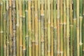 Bamboo wood background