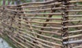 Bamboo wood fence interior background