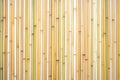 bamboo wood natural striations Royalty Free Stock Photo