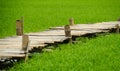 Bamboo wood path bridge cross pass over rice field