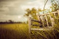 Bamboo wooden chairs on grass vintage