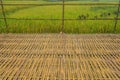 Bamboo wooden floor beside green rice field Royalty Free Stock Photo