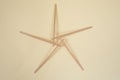 Bamboo wooden sticks demonstrating a pentagram reciprocal frame structure, on beige background