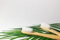 Bamboo wooden toothbrushes on white background with stand and craft glass. care for ecology and the environment. hygiene.