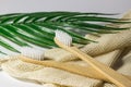 Bamboo wooden toothbrushes on white background with stand and craft glass. care for ecology and the environment. hygiene.