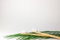 Bamboo wooden toothbrushes on white background with stand and craft glass. care for ecology and the environment. hygiene.