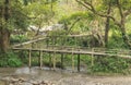 Bamboos bridge Royalty Free Stock Photo