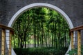 Bamboos inside chinese style gate