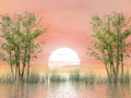 Bamboos by sunset - 3D render