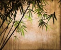 Bamboos on vintage sepia background