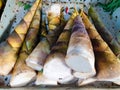 Bambooshoot from the food market. Royalty Free Stock Photo