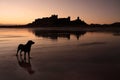 Bamburgh castle