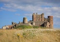 Bamburgh Castle & Meadow