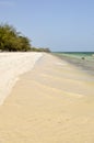 Bamburi beach with a ditch near Royalty Free Stock Photo