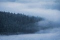 A Bamford Edge digital oil painting of trees and mist in the Peak District, UK